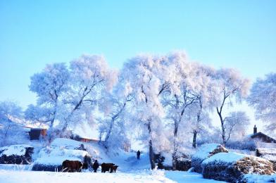 哈爾濱、亞布力、雪鄉(xiāng)、長白山、霧凇島雙飛八日游